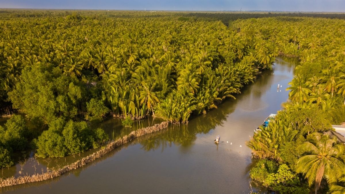 Ben Tre Mekong Delta landscape