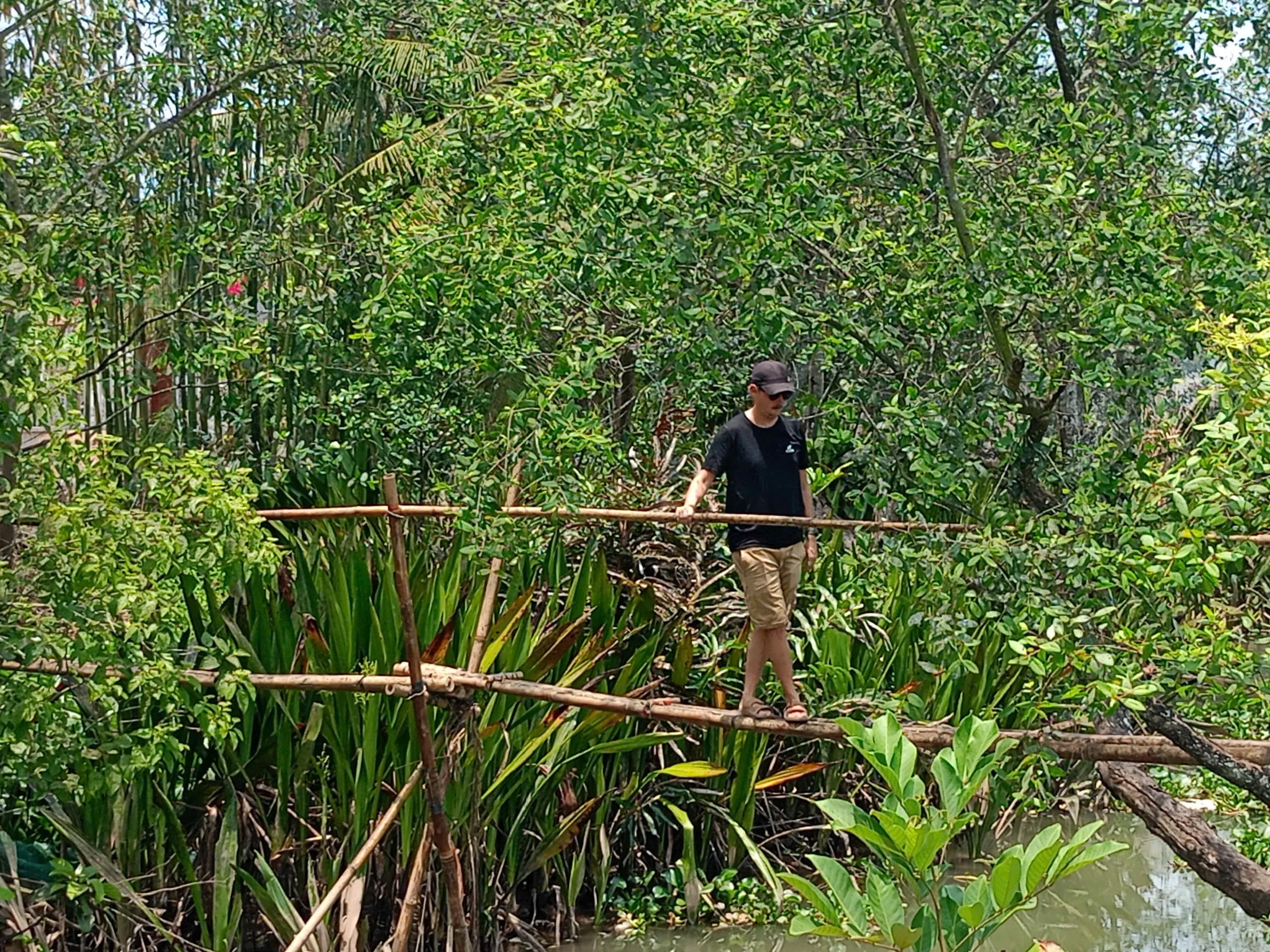 Visitor crossing a monkey bridge surrounded by tropical greenery on An Binh Island