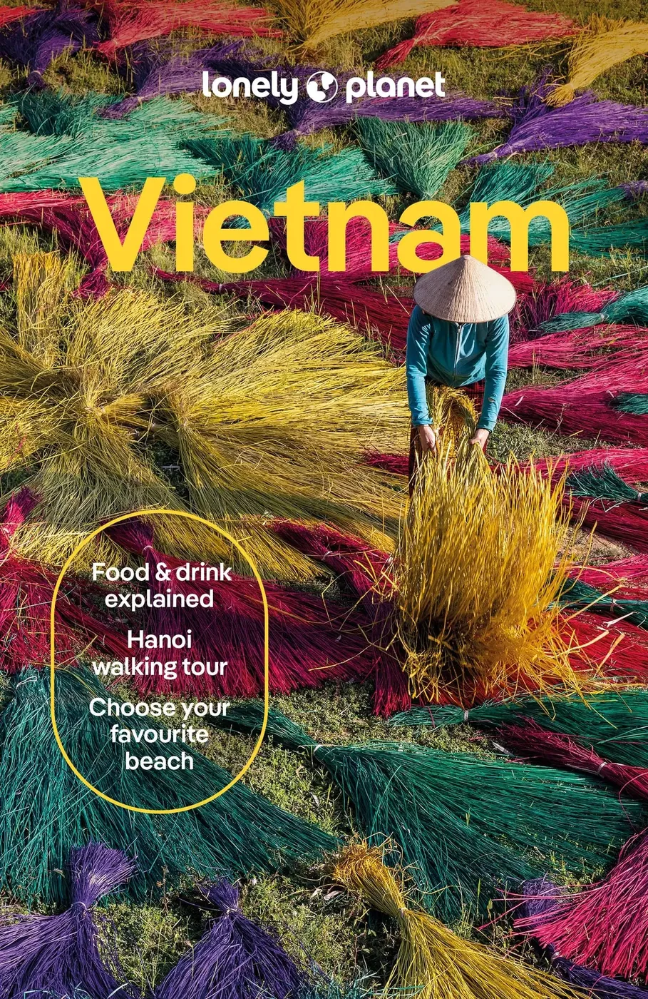 Lonely Planet Vietnam 2025 guidebook cover