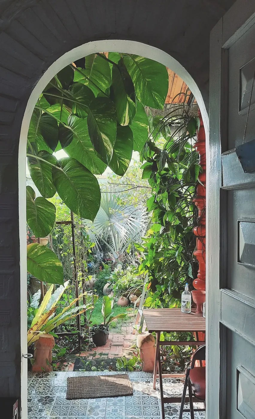 Room view