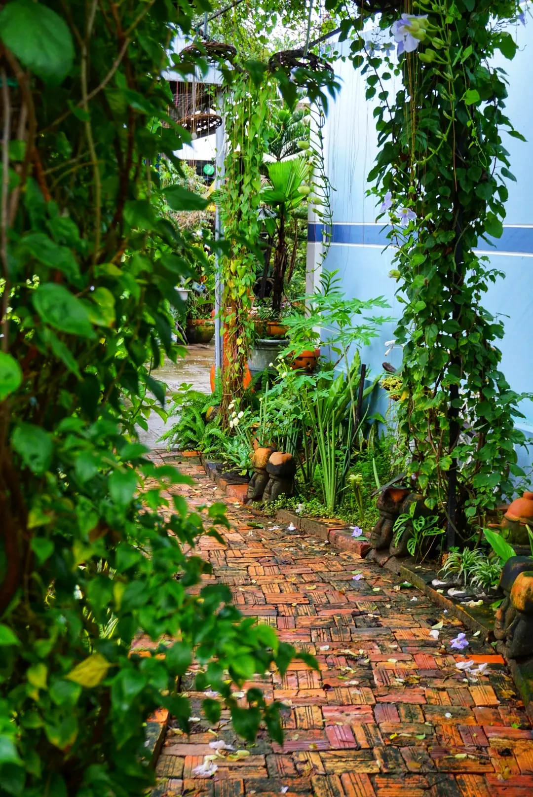 Room view