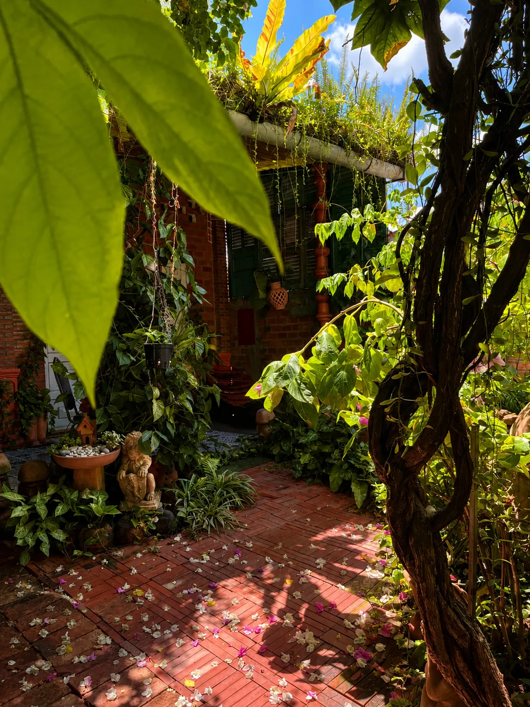 Room view