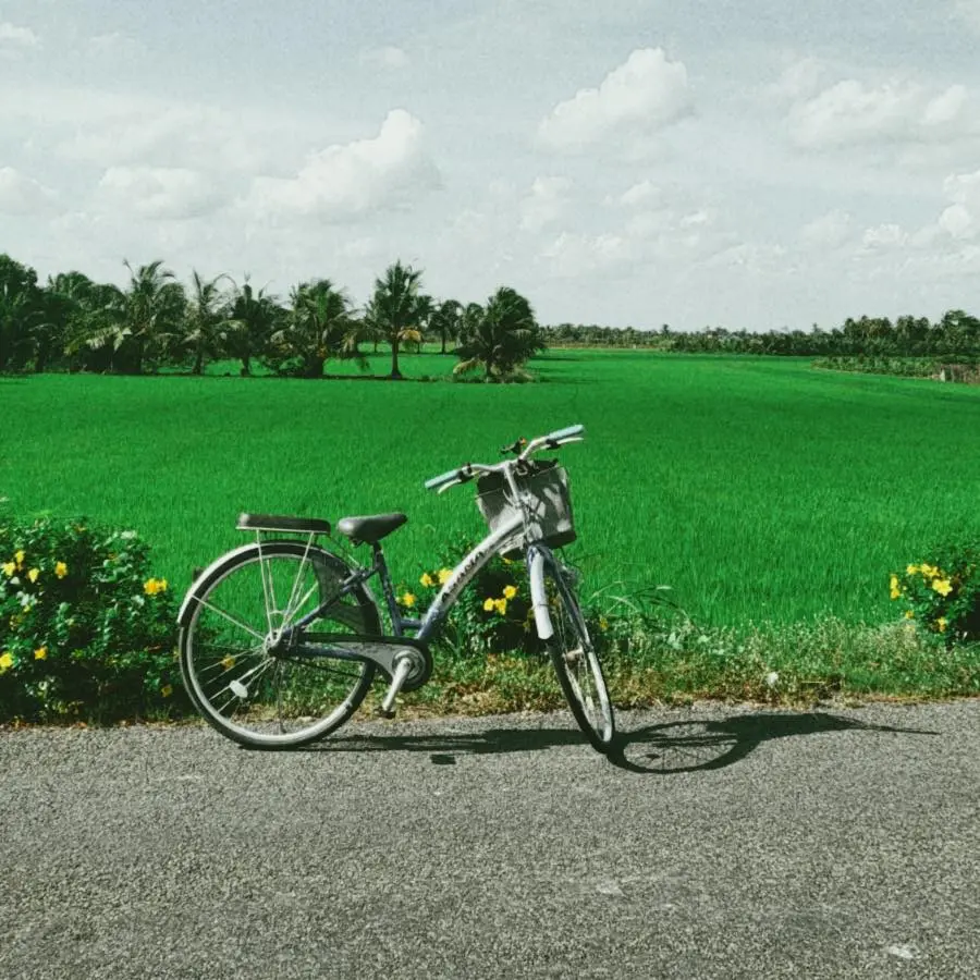 Free Bicycle