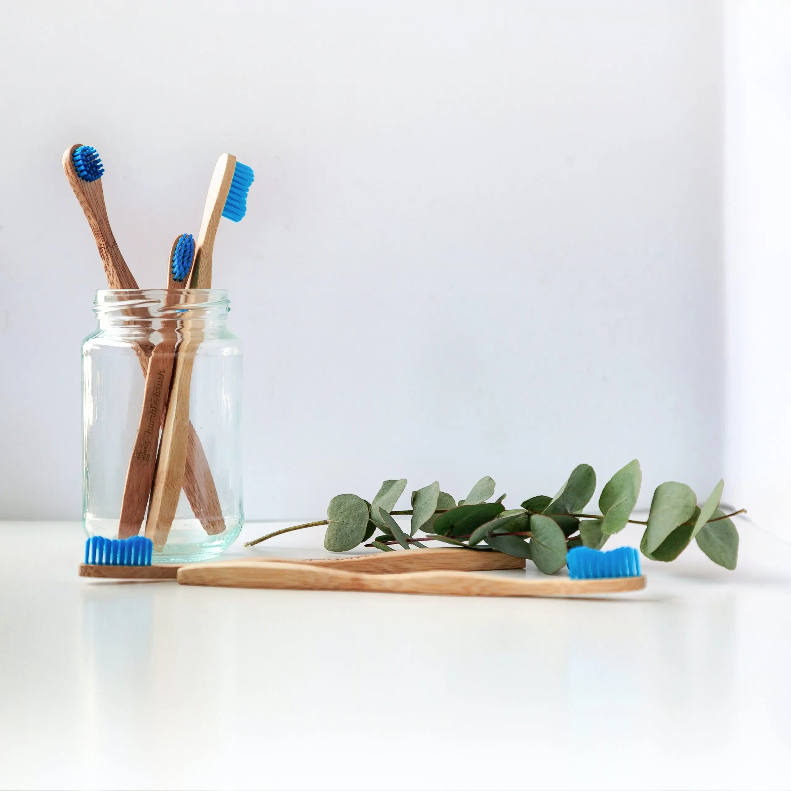 Wheat Straw Toothbrush