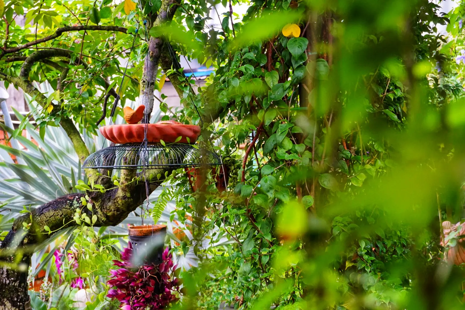 Green garden at Mekong Pottery Homestay