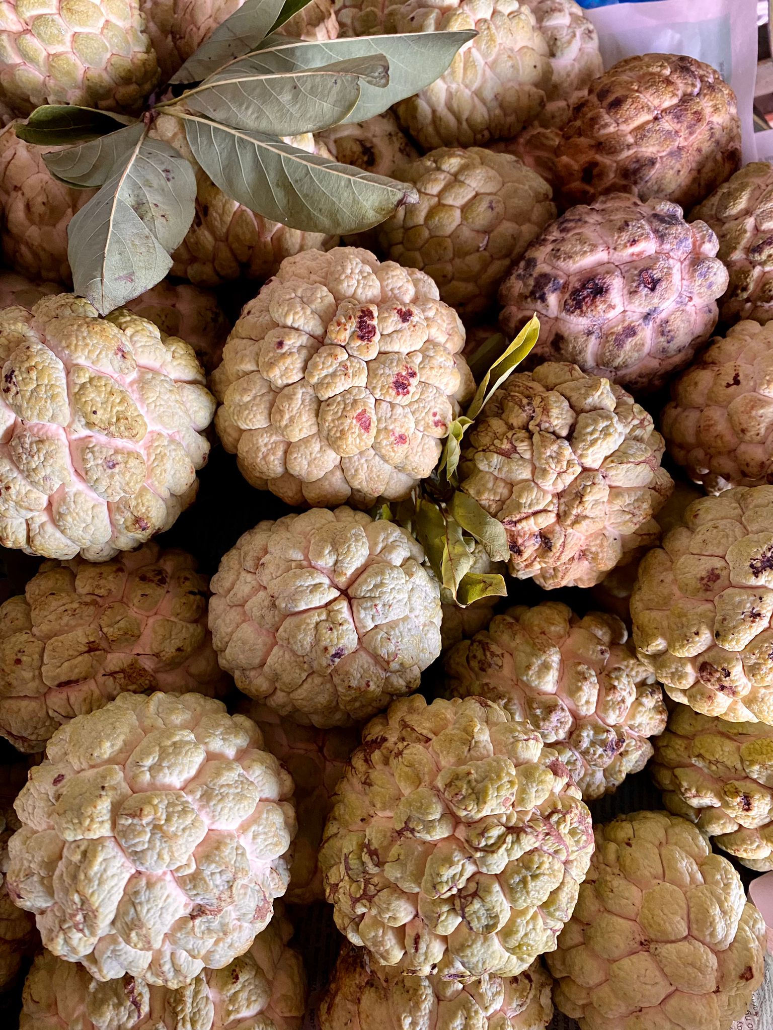 Fresh custard apples