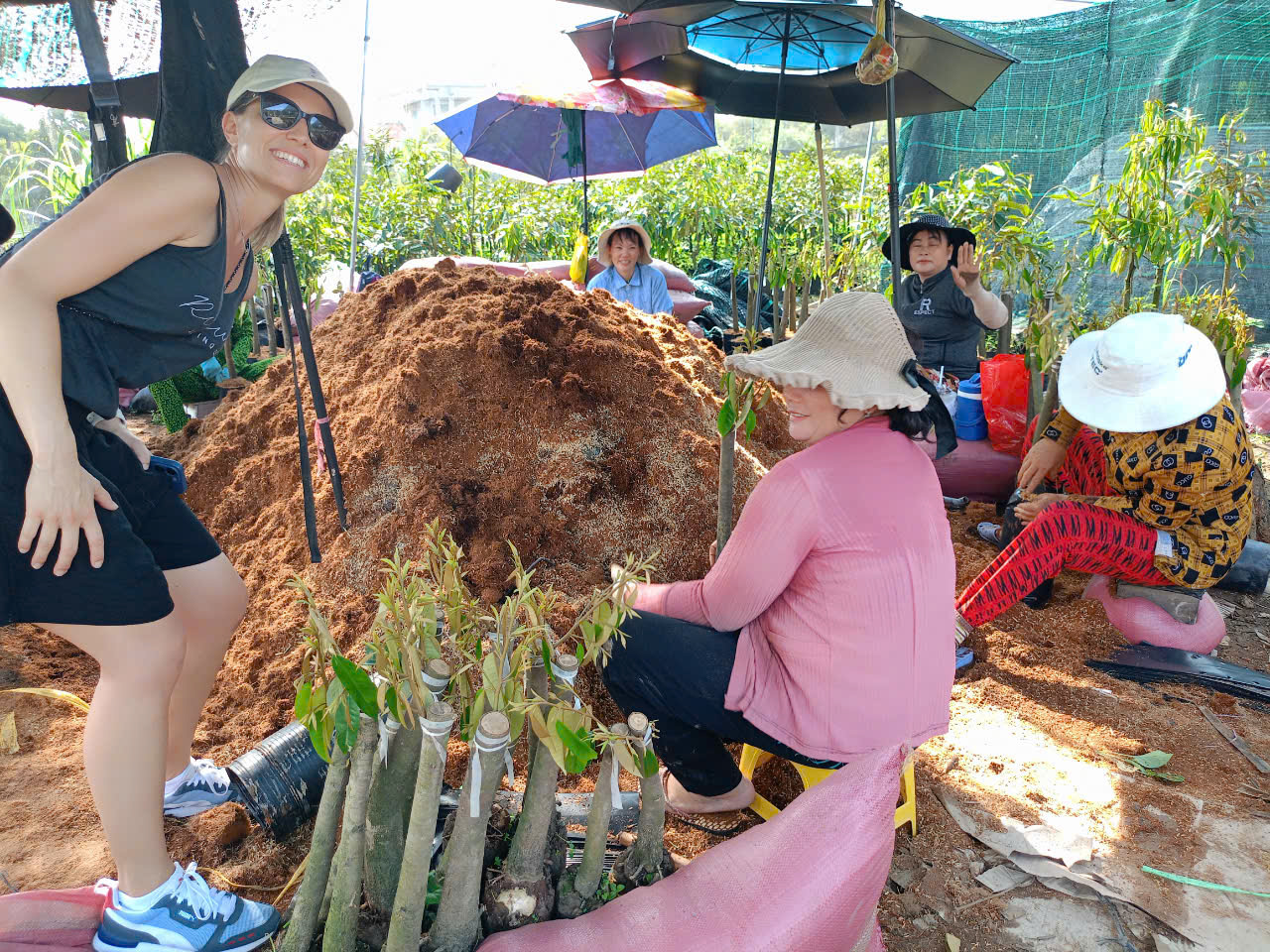 Coconut fiber processing