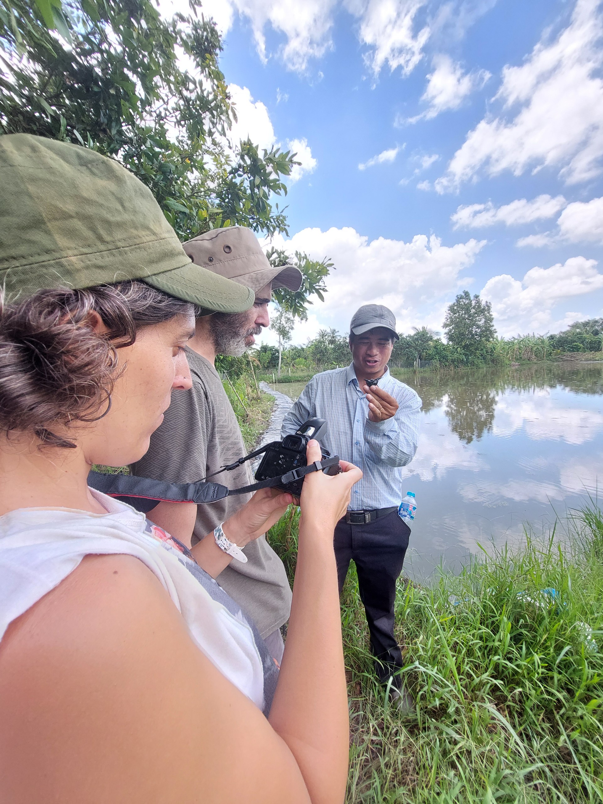 Guide explaining rice cultivation