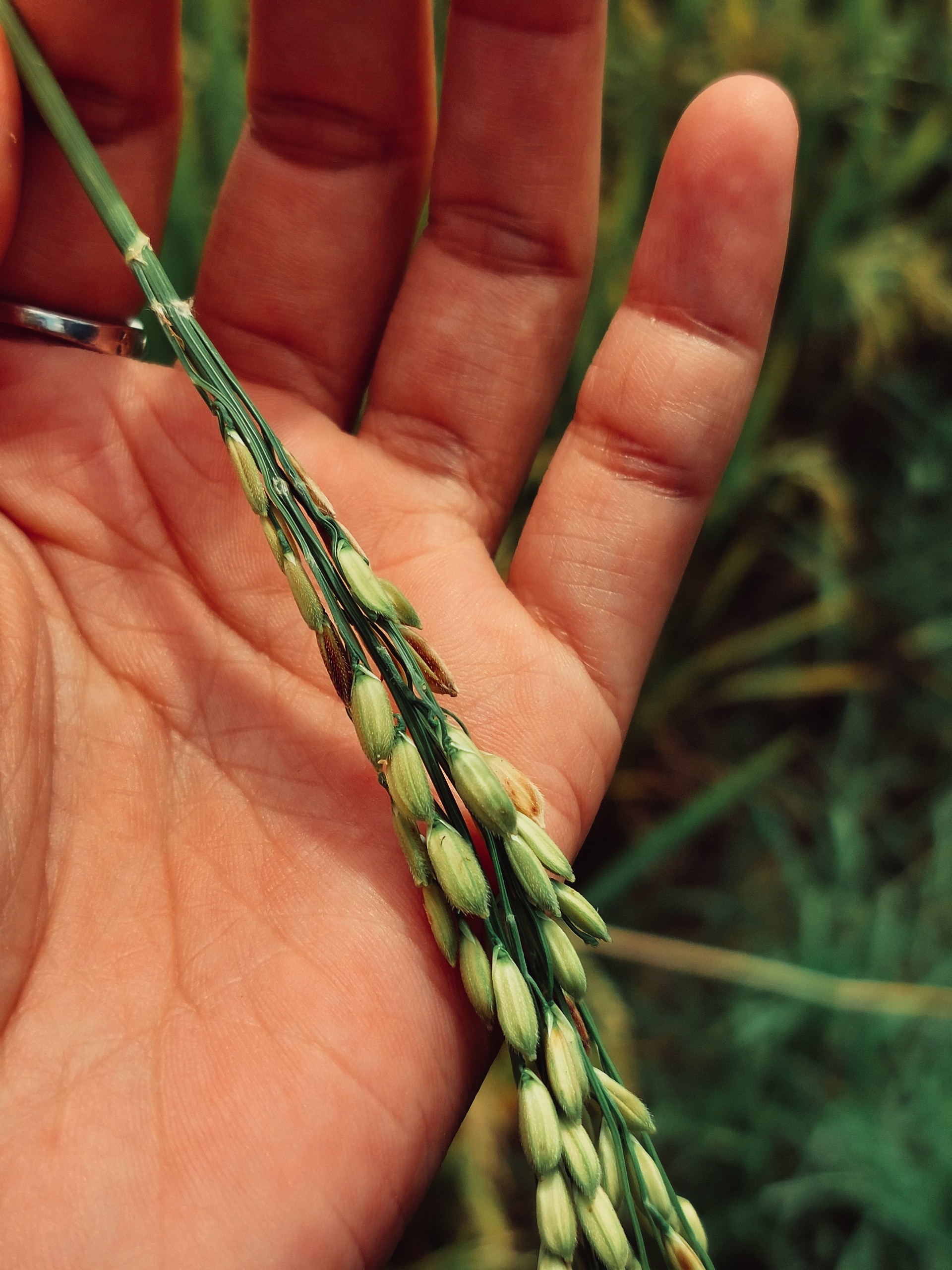 Traditional pottery workshop