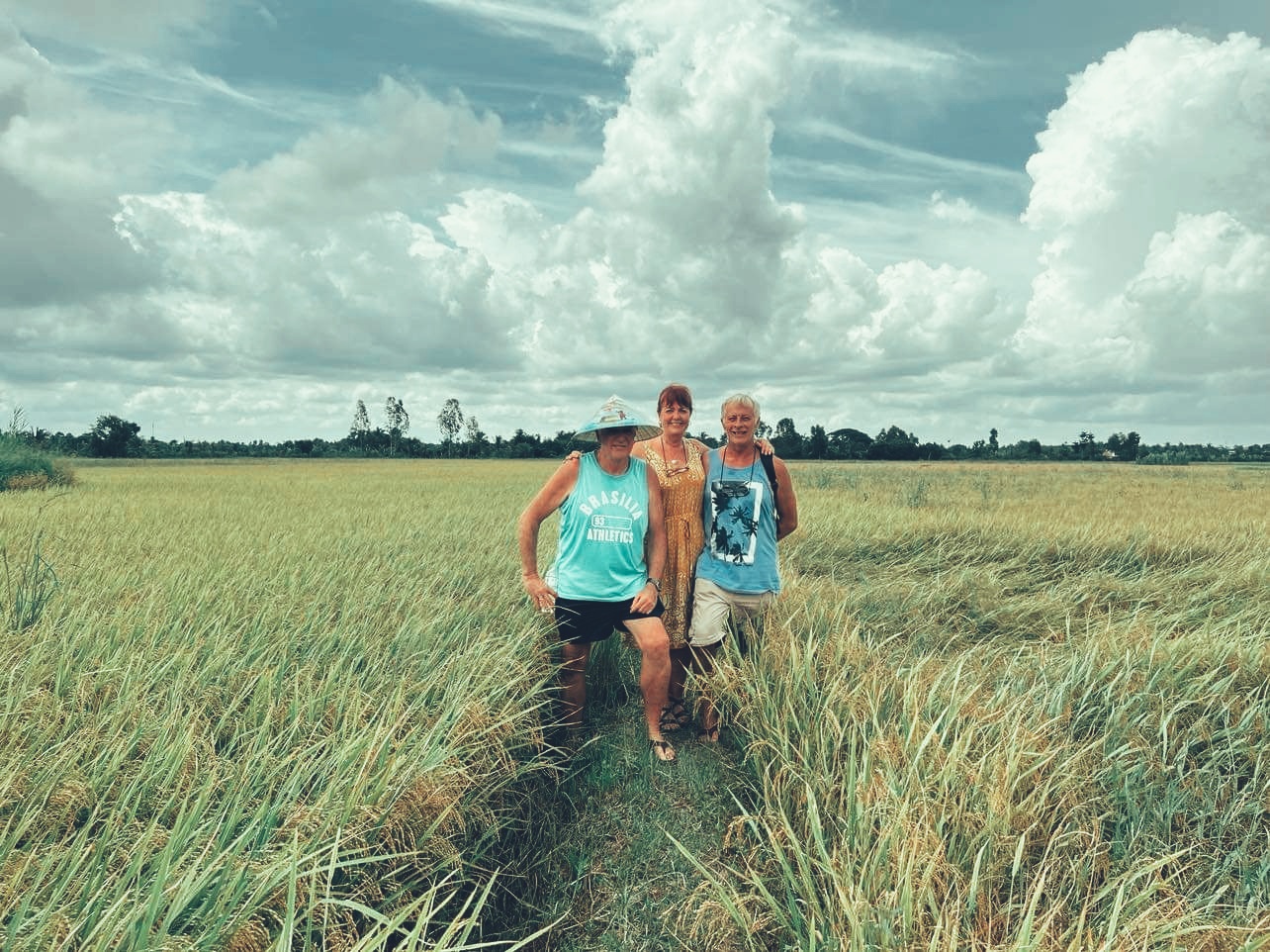 Tourists in golden rice fields