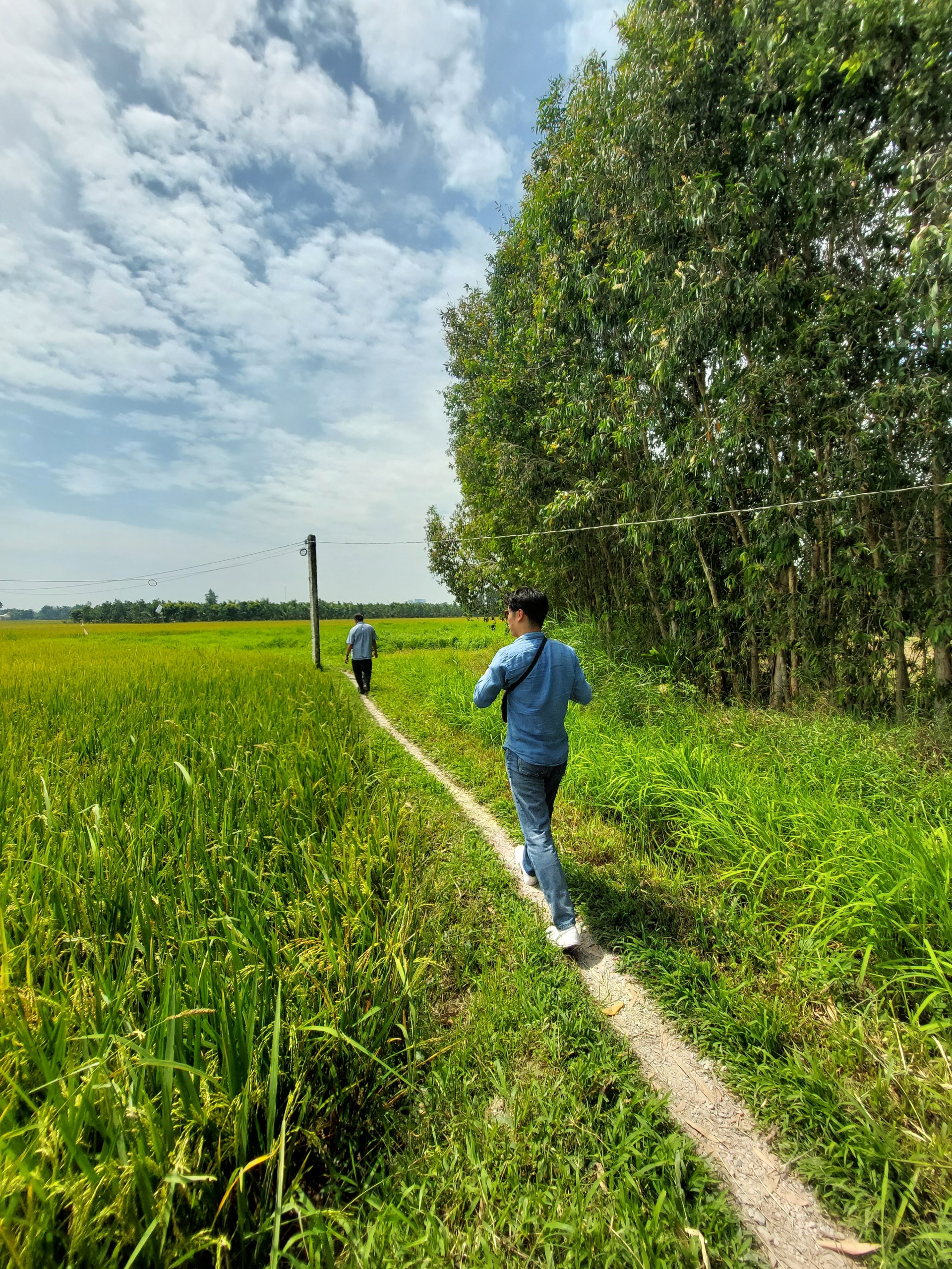 Walking through rice field path