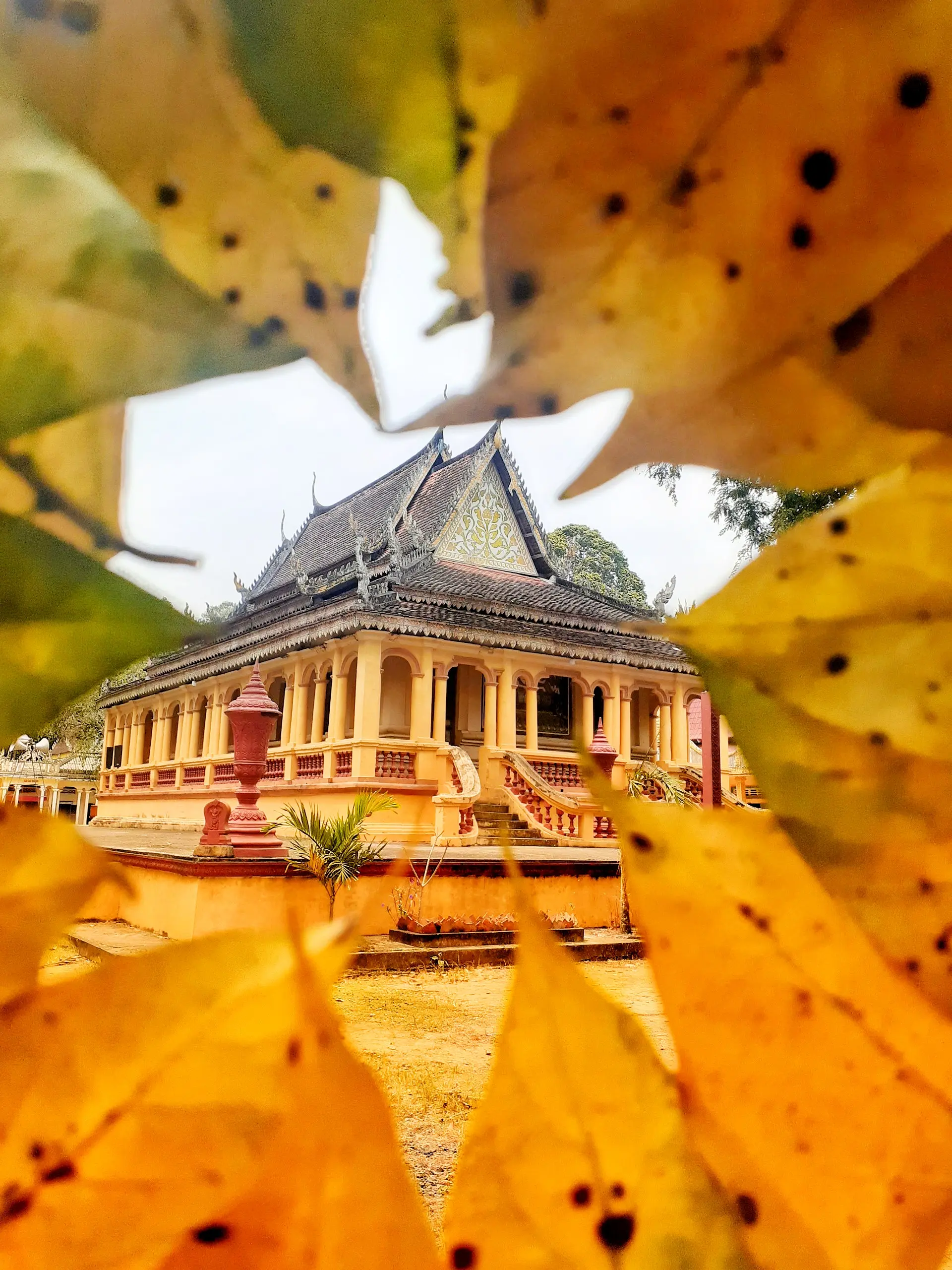 Huynh Ky's Tomb