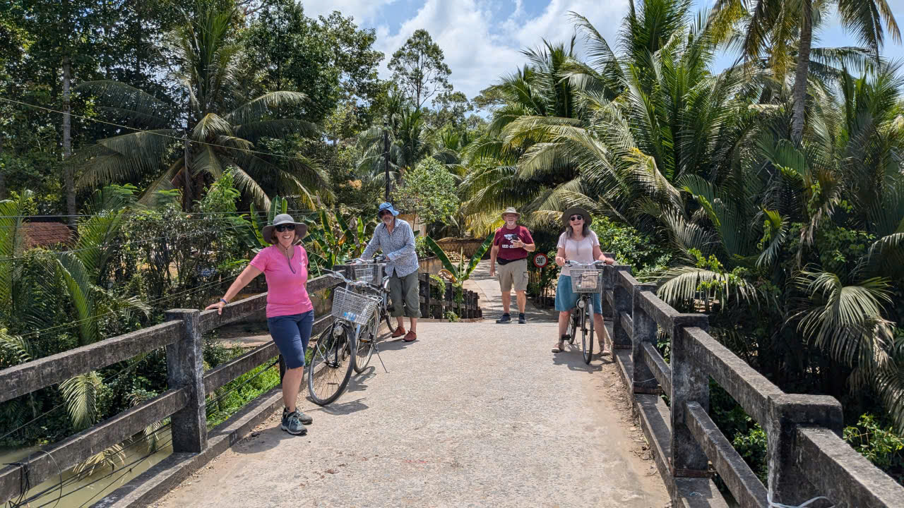 Tree-lined village path